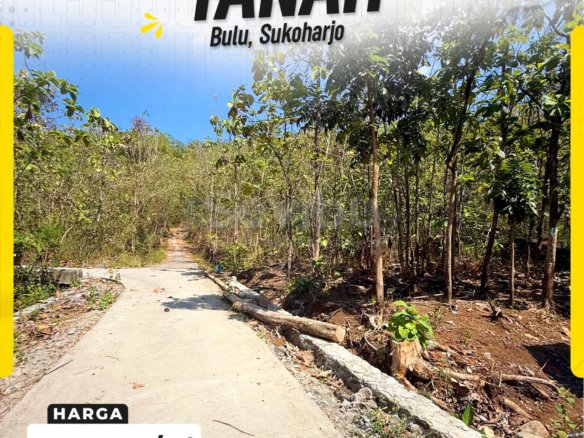 Tanah Pekarangan Ditanami Pohon Jati Luas Murah di Bulu Sukoharjo