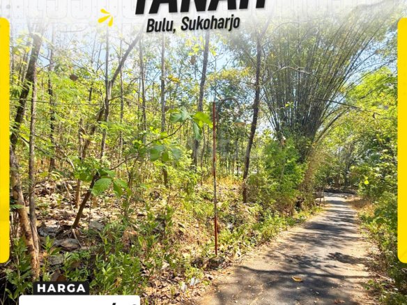 Tanah Pekarangan Ditanami Pohon Jati Luas Murah bulu sukoharjo
