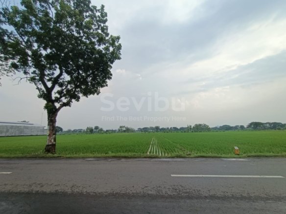 TANAH SIAP UNTUK INVESTASI Sidorejo, Bendosari – Sukoharjo