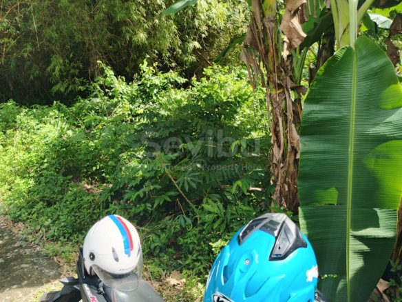 Dijual Tanah Pekarangan Siap Bangun di Wonorejo, Gondangrejo