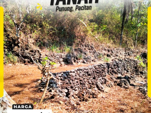 Kesempatan Investasi Lahan Ideal dengan Harga Sangat Terjangkau!