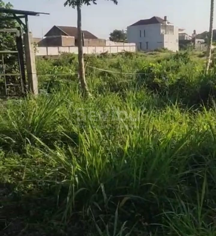 720