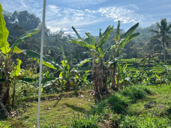 Dijual Tanah Dekat Aliran Sungai 750m2 Jenawi Karanganyar