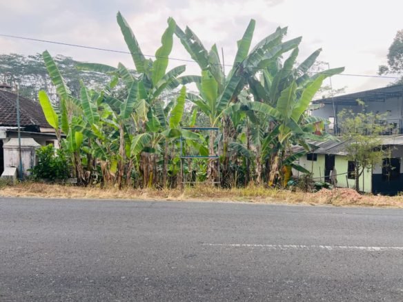 Tanah Kawasan Bisnis Tepi Jl Raya Karangpandan-Mojogedang