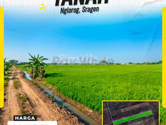 DIJUAL TANAH SAWAH STRATEGIS LUAS 3.840 M² DI NGLOROG, SRAGEN