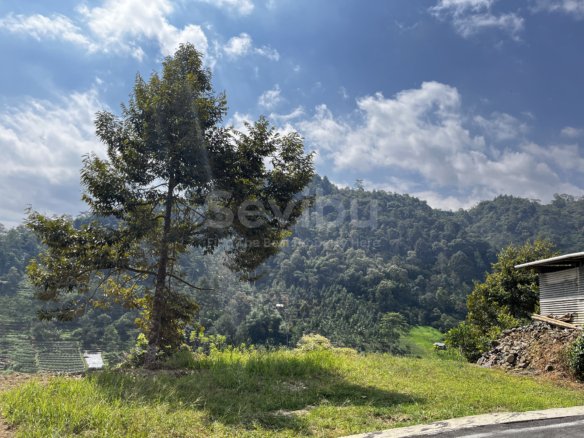 Tanah 350Jt Udara Dingin Wisata Tawangmangu Karanganyar Solo