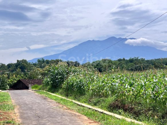 Tanah View Gunung Lawu 1700m2 Karanganyar Solo Jawa Tengah
