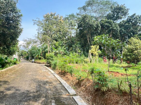 Tanah 1000m2 Kebun Buah Desa Wisata Karanganyar Solo
