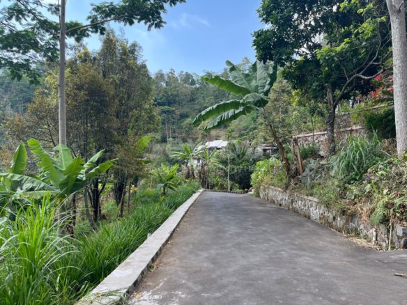Tanah 300 Juta Dekat Candi Cetho Karanganyar Solo