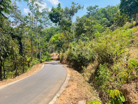 Tanah 350 Juta Udara Dingin Wisata Ngargoyoso Karanganyar