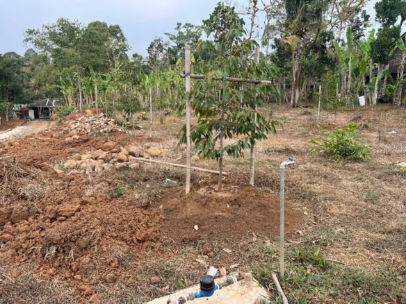 Tanah Kebun Durian luas 700m2 Strategis di Tamansari, Kerjo