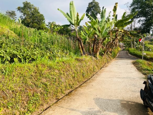 Tanah 2320m² View Istimewa Kawasan Wisata Ngargoyoso