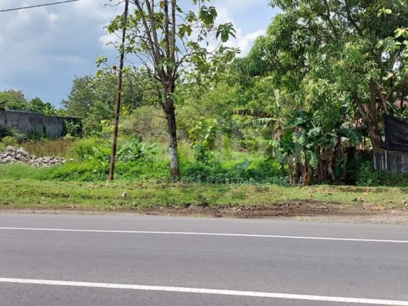 Dijual Tanah lahan Komersil di Pinggir Jalan Utama Selogiri Wonogiri